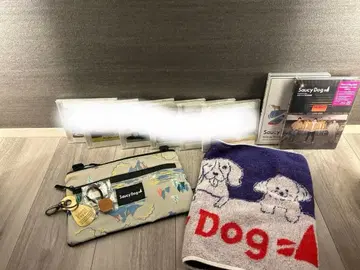 Saucy Dog 굿즈 Blu-ray 모음 세트