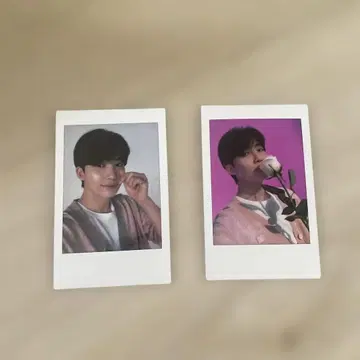 SEVENTEEN 하나비 정한 폴라로이드