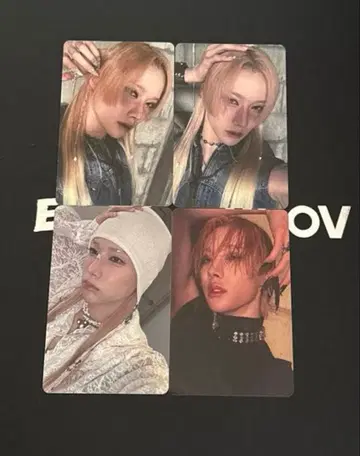 XLOV 루이 트레카세트