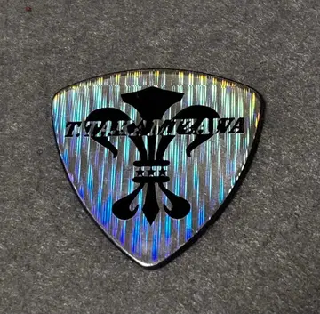 [ 레어 ] The ALFEE T.TAKAMIZAWA 기타 피크 홀로그램