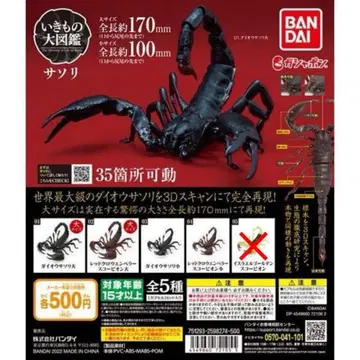 생물대도감 전갈 4종 세트