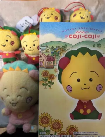 코지코지 6점 묶음 판매