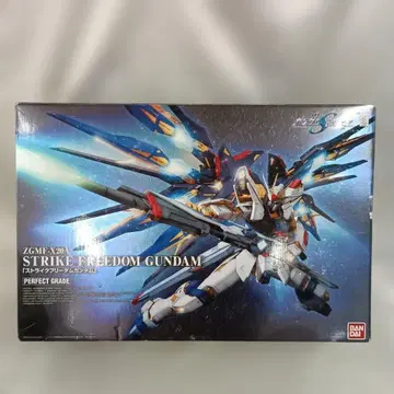 1/60 PG ZGMF-X20A 스트라이크 프리덤 건담