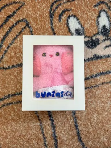 NewJeans bunini 봉제 인형 하니