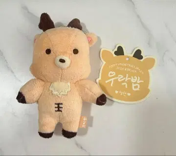 RIIZE 10cm 인형 KEYRING 성찬 우라밤 정품
