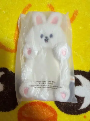 Stray Kids Leebit 리빗 카드 케이스