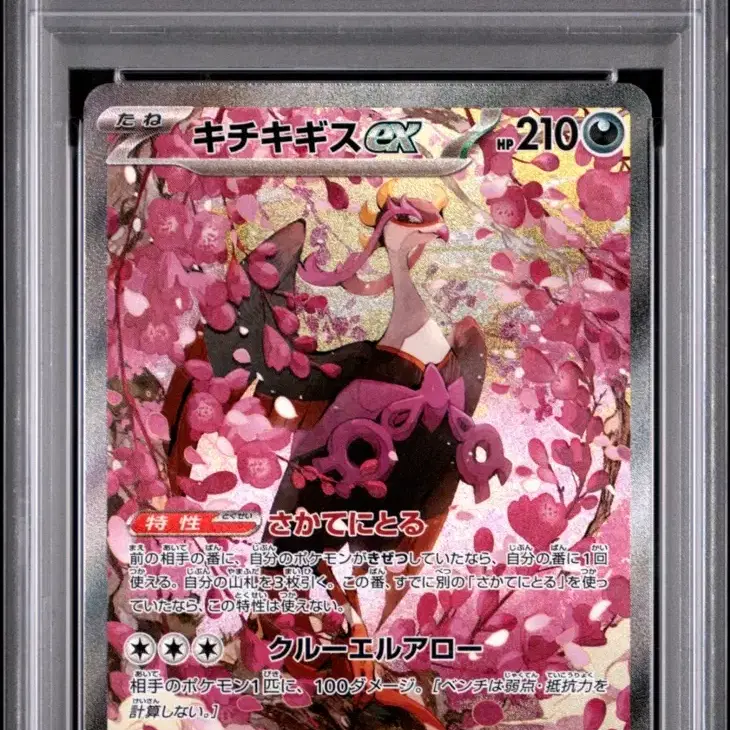 포켓몬 기로치sar psa10팔아요!!! 사진 2