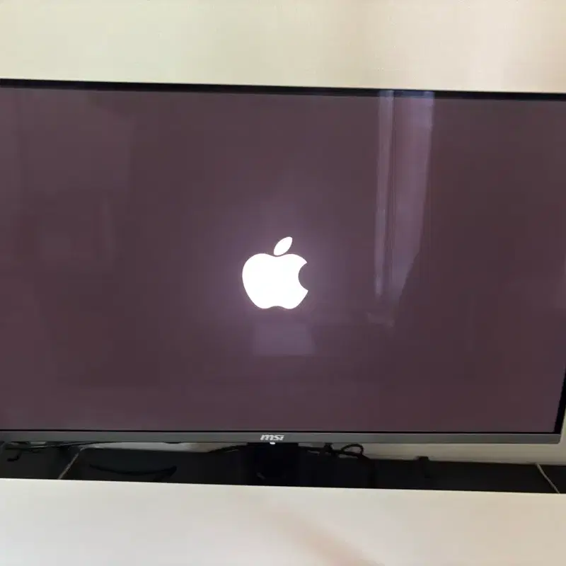 Msi 321URX QD OLED 4k 판매