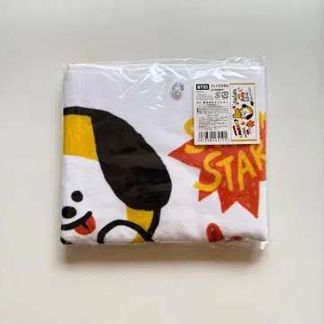 BTS BT21 페이스 타월 CHIMMY