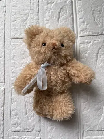 인기 작가님 봉제 인형 곰