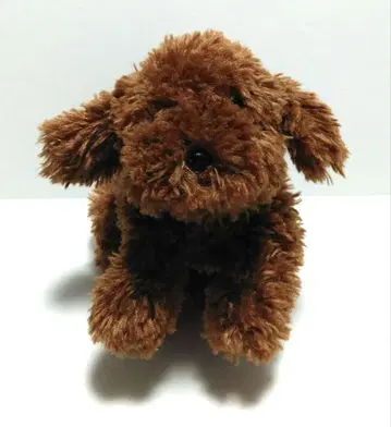 무릎 강아지 토이 푸들 브라운 봉제 인형 선레몬