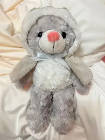 지역 한정 베어 홋카이도 한정 봉제 인형 에조 모몽가