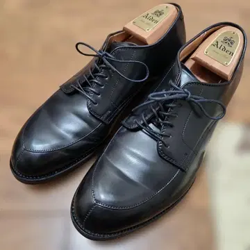 Alden 54331 V 칩 코도반 8D 블랙