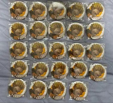 히로아카 점프 GIGA 신십걸 캔뱃지 호크스