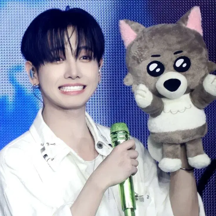 명명이 1,2기 인형 구해요 !!