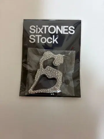 SixTONES Stock 6주년 로고 브로치