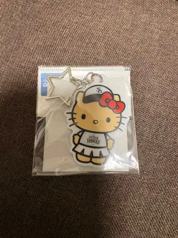 일광화상 키티 아크릴 키링