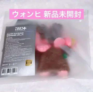 ILLIT 원희 봉제 인형 WONHEE plush KEYRING