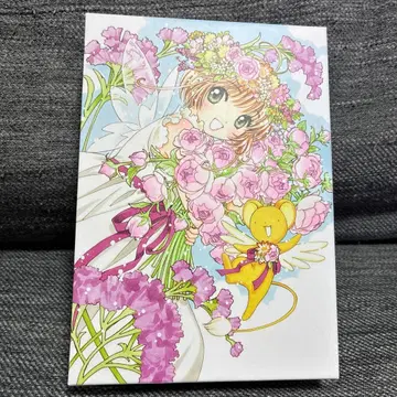 카드캡터 사쿠라 DVD BOX (초회 한정판 11매 세트)