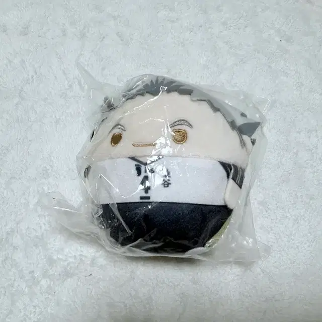 하이큐 보쿠토 후와 인형