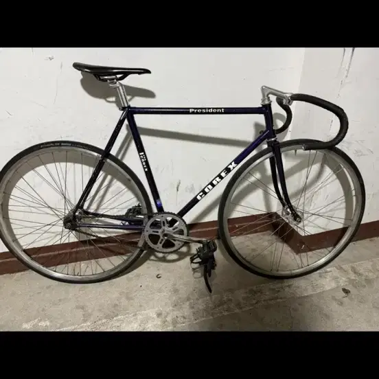 코렉스 경륜