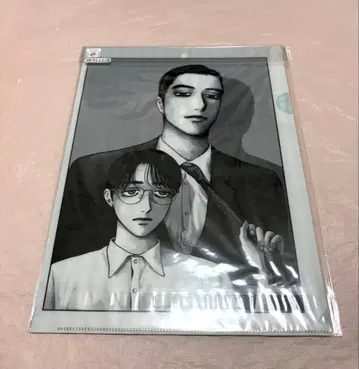 와야마 야마 클리어 파일 세트