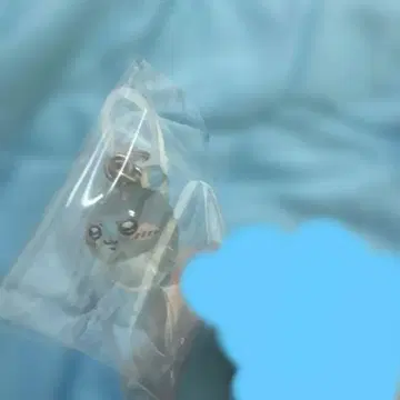 치이카와 메지루시 액세서리 2 모몽가
