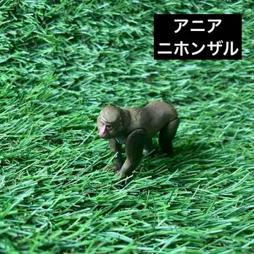 타카라토미 아니아 AS-17 일본원숭이 단종 레어 동물