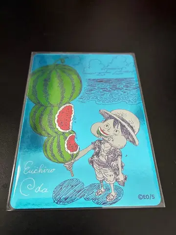 나츠코미 2026 원피스 루피 one piece 1장