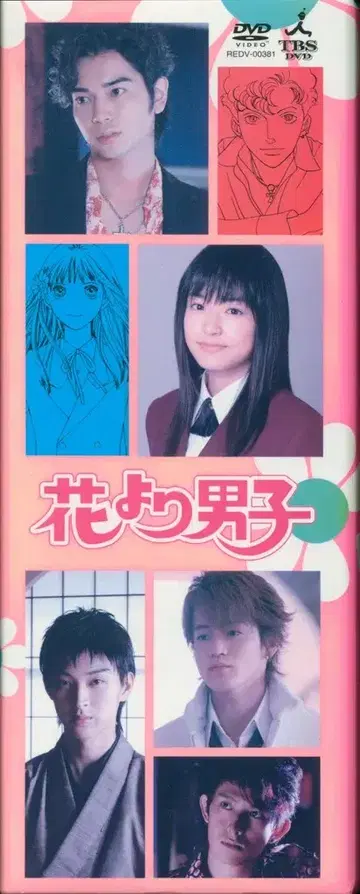 TBS 드라마 DVD (일반판) 꽃보다 남자 DVD-BOX