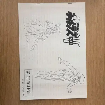 전자 머신 볼테스V 설정 자료집
