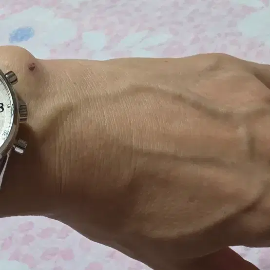 태그호이어 칼리버16 헤리티지 블루핸즈 41mm