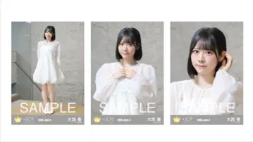 니지이로 조이 오오니시 아오이 브로마이드 컴프