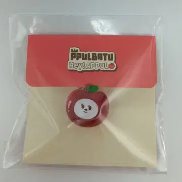 TXT Hey! APPUL PPULBATU BEOMGYU 미니 키링