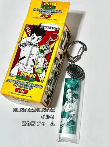 HUNTER x HUNTER 이르미 토가시전 원작 패턴 참