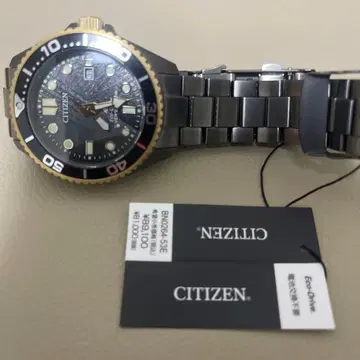 CITIZEN Eco-Drive BN0264-53E 손목시계