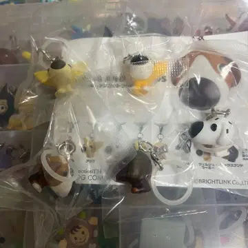 THE DOG AND FRIENDS 더독 메지루시 액세서리