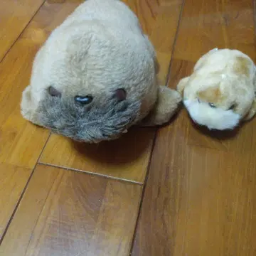 바다코끼리 봉제인형 부자 세트