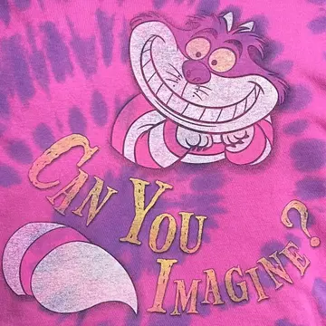 Disney Cheshire Cat 디즈니 체셔 고양이 타이다이 T셔츠