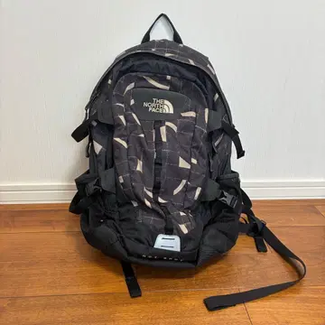 THE NORTH FACE HOT SHOT 백팩
