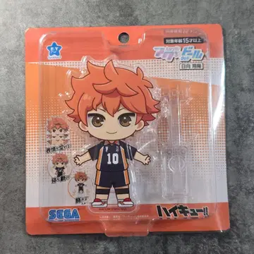 하이큐!! 아크릴 스탠드 히나타 쇼요 Haikyu!!