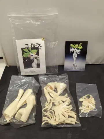 제트스트림 C.C. 캐스트