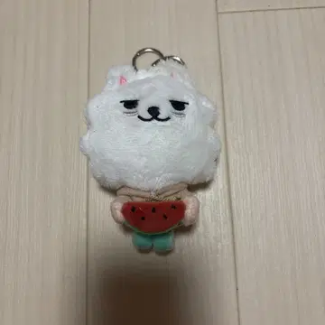 TXT PPULBATU 용몽 수박