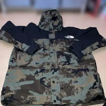 THE NORTH FACE 마운틴 라이트 자켓 카모플라쥬 GORE-TEX