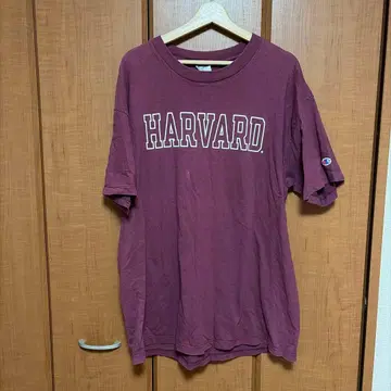 Champion HARVARD 빈티지 90 티셔츠 XL