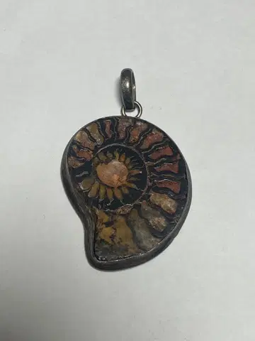 암모나이트 화석 펜던트 탑 silver925