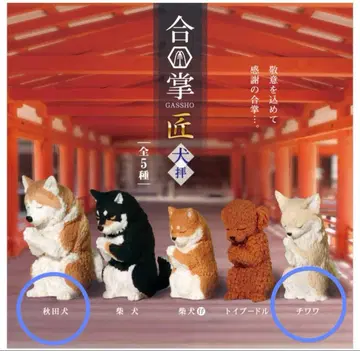 합장 장인 개배 아키타견 치와와 가챠 피규어