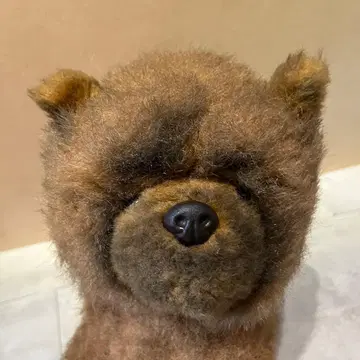 [레어] 빅 봉제 인형의 삼영 차우차우 봉제 인형