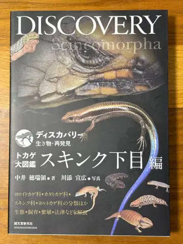 DISCOVERY 도마뱀 대도감 스킨크 하목 편