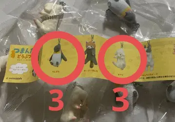 집은 동물들 3 펭귄 3 / 양 3